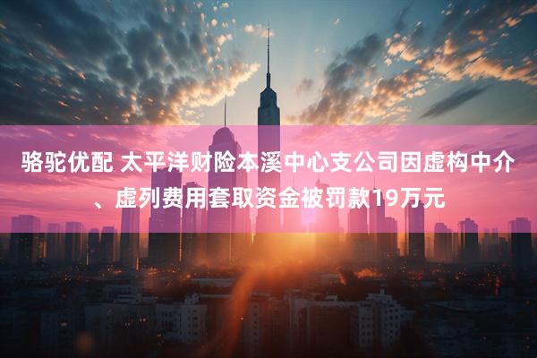 骆驼优配 太平洋财险本溪中心支公司因虚构中介、虚列费用套取资金被罚款19万元
