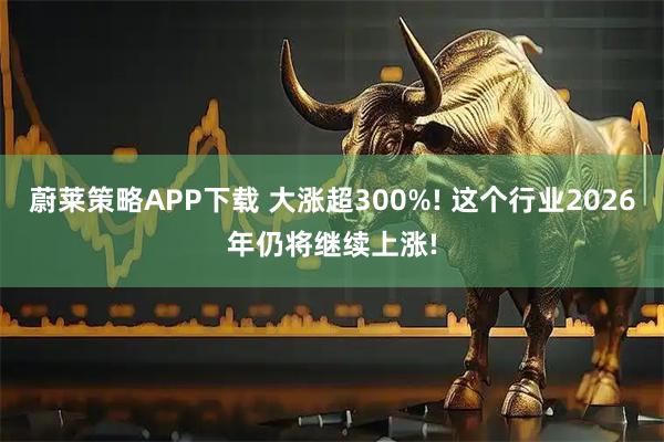 蔚莱策略APP下载 大涨超300%! 这个行业2026年仍将继续上涨!